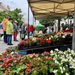 Počas dňa zapršalo, ľudí to neodradilo I Foto: Alexandra Štofirová, Trnavské rádio