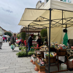 Májový kvet 2025 I Foto: Alexandra Štofirová, Trnavské rádio