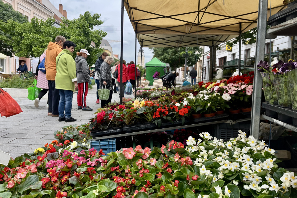 Počas dňa zapršalo, ľudí to neodradilo I Foto: Alexandra Štofirová, Trnavské rádio