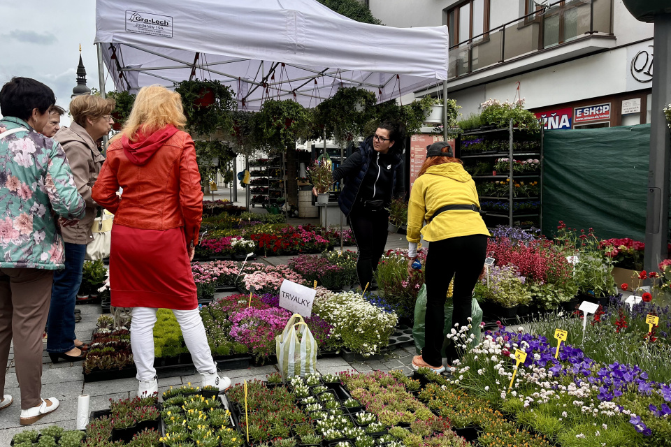 Májový kvet ponúka široký výber produktov I Foto: Alexandra Štofirová, Trnavské rádio