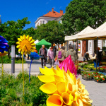 Trnava rozkvitla. Odštartovalo sa kvetinové podujatie Májový kvet. | Foto: red.