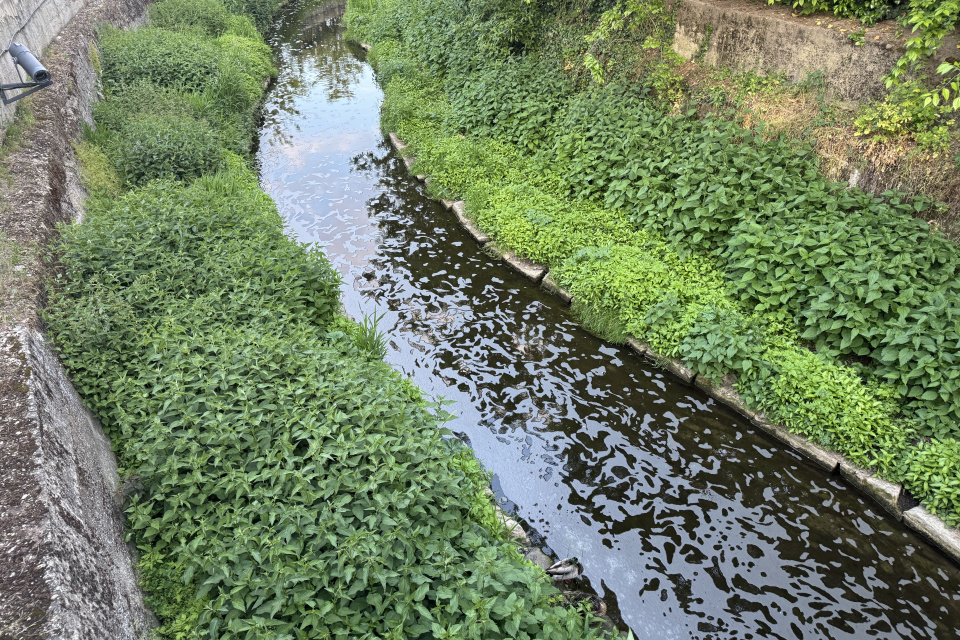 Pena sa šíri Trnávkou | Foto: Zuzana Benková, Trnavské rádio