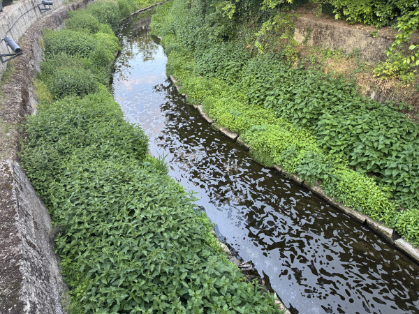 Pena sa šíri Trnávkou | Foto: Zuzana Benková, Trnavské rádio
