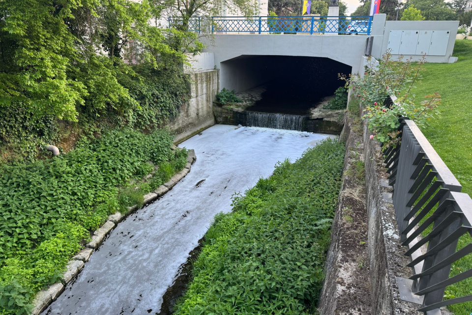Včerajšia pena v Ružovom parku | Foto: Zuzana Benková, Trnavské rádio