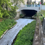 Včerajšia pena v Ružovom parku | Foto: Zuzana Benková, Trnavské rádio