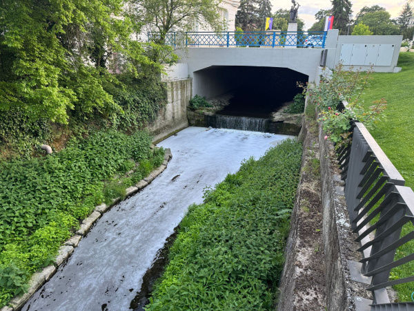Včerajšia pena v Ružovom parku | Foto: Zuzana Benková, Trnavské rádio