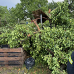 K zraneniam našťastie nedošlo. | Foto: Hasiči Skalica