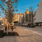 Pribudla nová výsadba | Foto: Zuzana Benková, Trnavské rádio