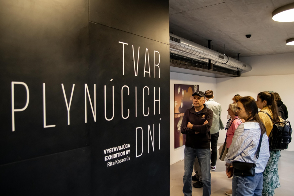 Už len dnes môžete navštíviť výstavu Tvar plynúcich dní | Zdroj: Čepan Gallery